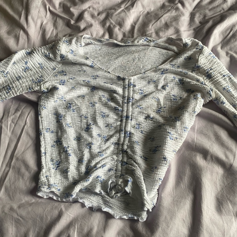hollister crop